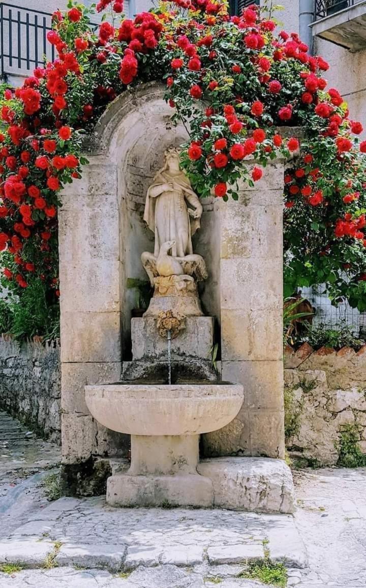 Palazzo Adriano 阿菲塔卡梅拉卡提尔拉旅馆酒店 外观 照片